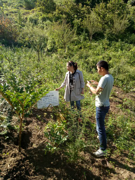 ᰸�Ϊħ����ֲ����40����