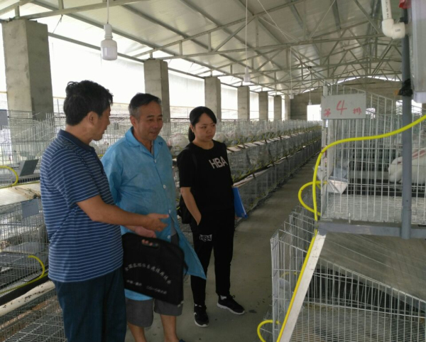 ũ�ֿƼ��ֶ�ƶ����԰����רҵ�����翪չ���