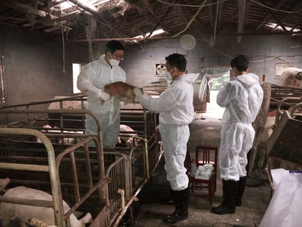 ũ�ֿƼ��֣���ץ��ѧ����  ����ũҵ��ʧ