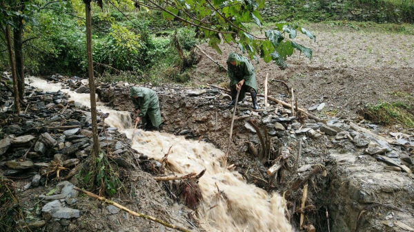 չ�����ƶ�����ӡ�ʮһ����������æ