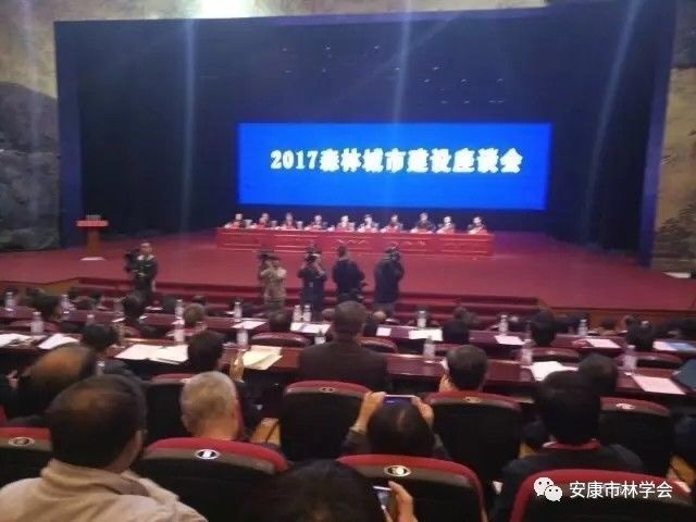 �����ֶ��˸������ֺš�����������ɭ�ֳ���