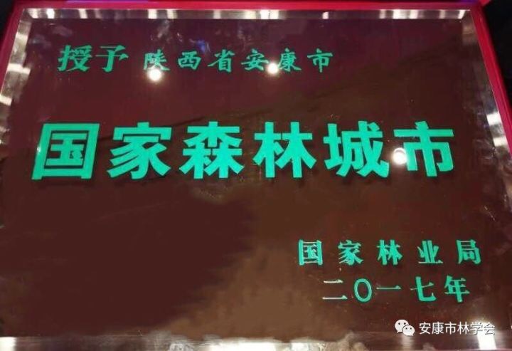 �����ֶ��˸������ֺš�����������ɭ�ֳ���