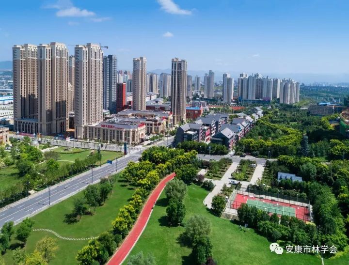 �����ֶ��˸������ֺš�����������ɭ�ֳ���