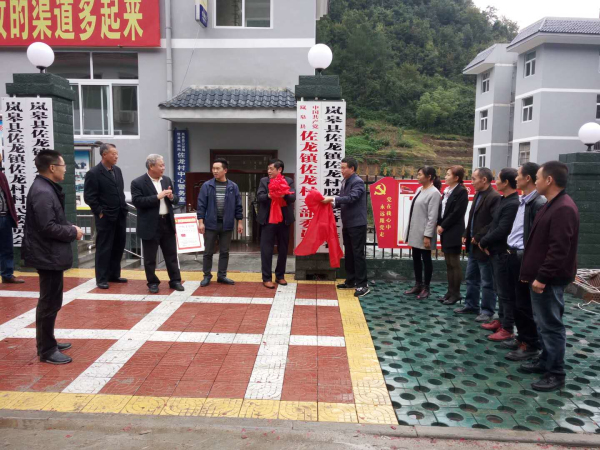 �����׼Ҵ弶�ɷݾ��ú�������ʽ����