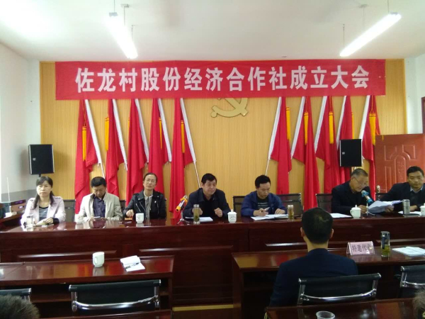 �����׼Ҵ弶�ɷݾ��ú�������ʽ����