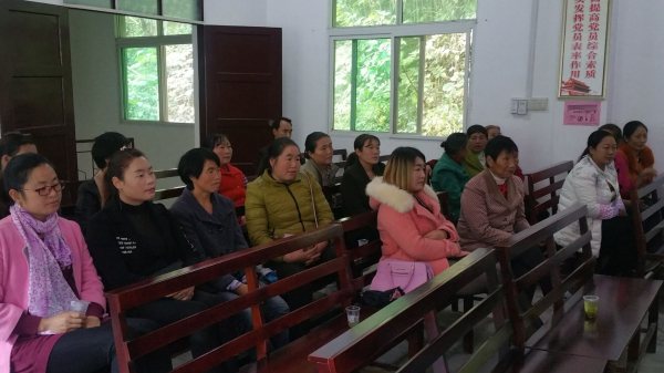 ��Ů���Ͻ����� ���ۺ�������ƶ