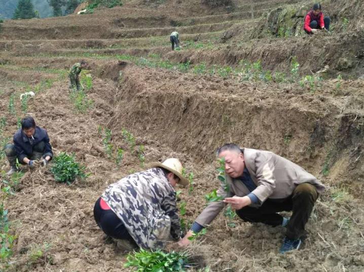 ᰸�Ѹ��������ҵ��ƶ��������110ָ����ϵ����