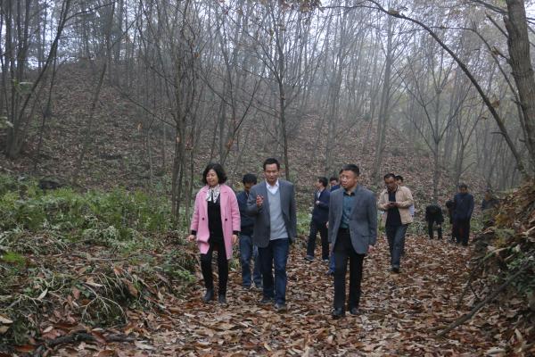 ʡ��ҵ������������̬��ƶ����ҵ׷�ϳ�Խ�ص㹤��