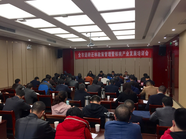 ȫ���˸��������߹����ߺ��Ҳ�ҵ��ѵ���ٿ�