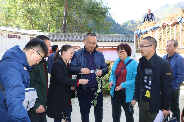 ᰸���ȫ���̿��˸��������ֹ���