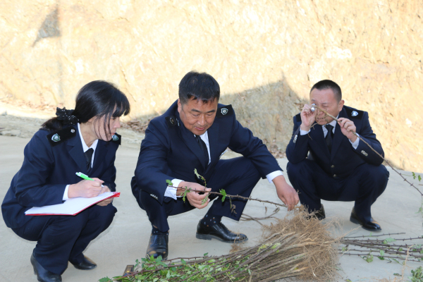 ᰸���ȫ���̿��˸��������ֹ���