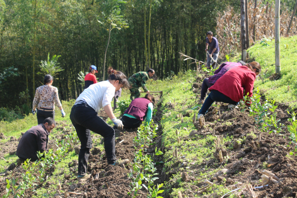 ᰸����＾��԰����ս�������ݱ