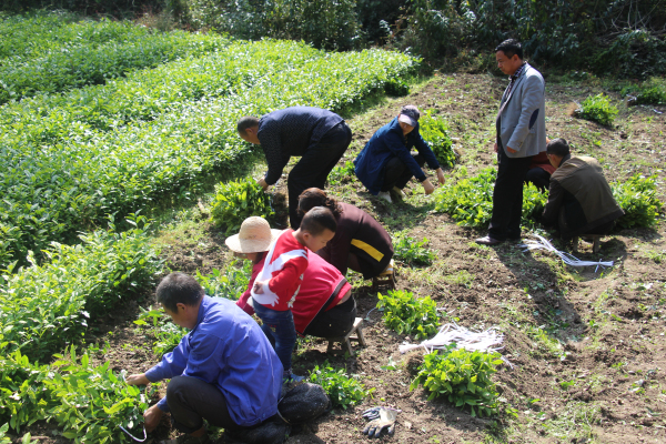 ᰸����＾��԰����ս�������ݱ