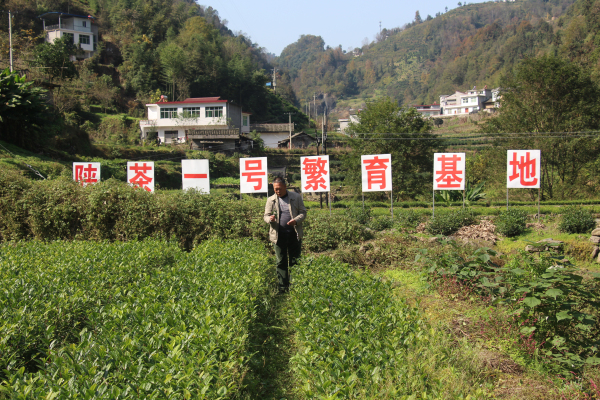 ᰸����＾��԰����ս�������ݱ