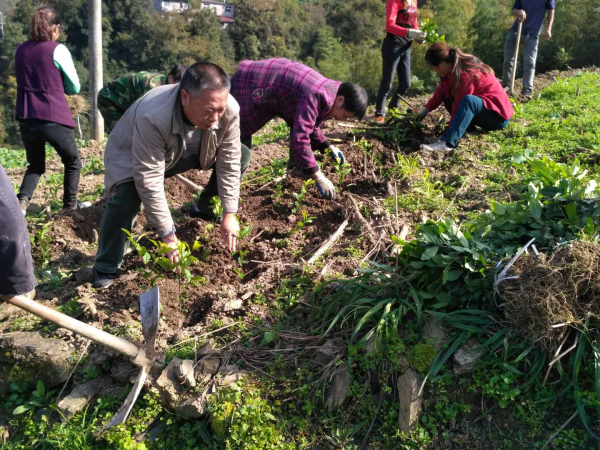 ᰸ޣ�����ɽ���������� ��ȫ����������ϵ