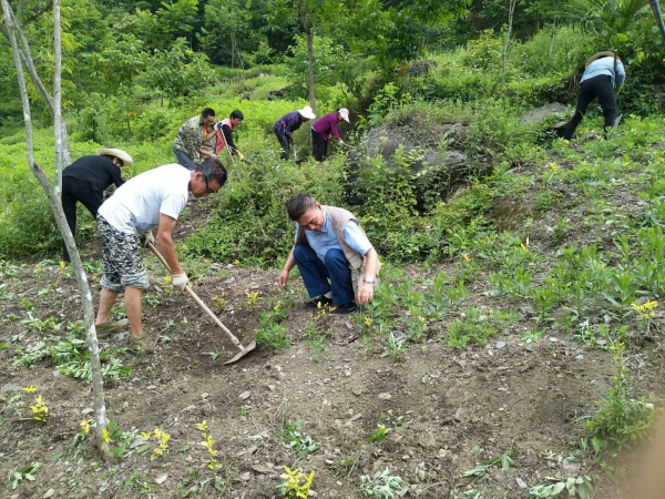 ᰸ޣ�����ɽ���������� ��ȫ����������ϵ