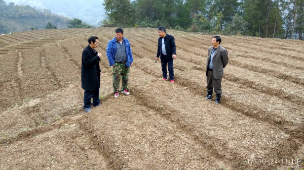 ᰸ޣ�����ɽ���������� ��ȫ����������ϵ