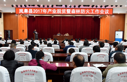 ȫ��2017���ҵ��ƶ��ɭ�ַ����������ٿ�