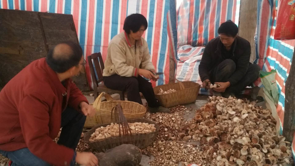 չ���㹽������