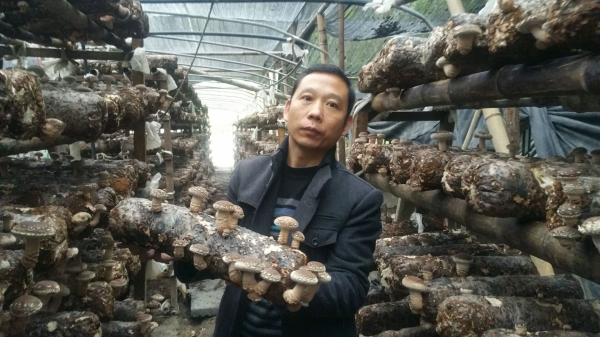 չ���㹽������