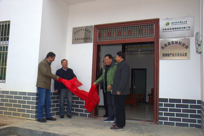 ʡ��ҵ�ְ���⨺���ʵ��վ��᰸޹��Ƴ���