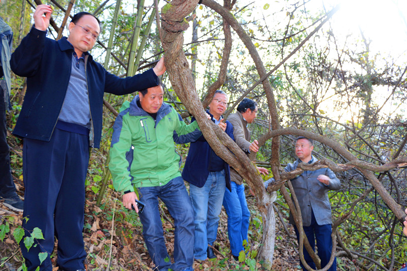 ʡ��ҵ�ְ���⨺���ʵ��վ��᰸޹��Ƴ���