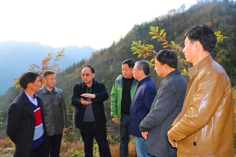 ʡ��ҵ�ְ���⨺���ʵ��վ��᰸޹��Ƴ���