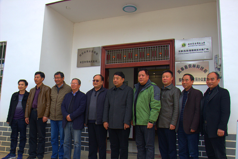 ʡ��ҵ�ְ���⨺���ʵ��վ��᰸޹��Ƴ���