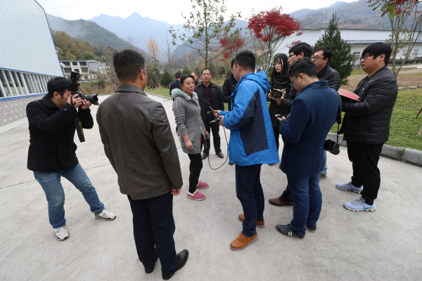 ��ʡý�塰��ƶ���ῴ��ҵ���ɷ����߽�᰸�