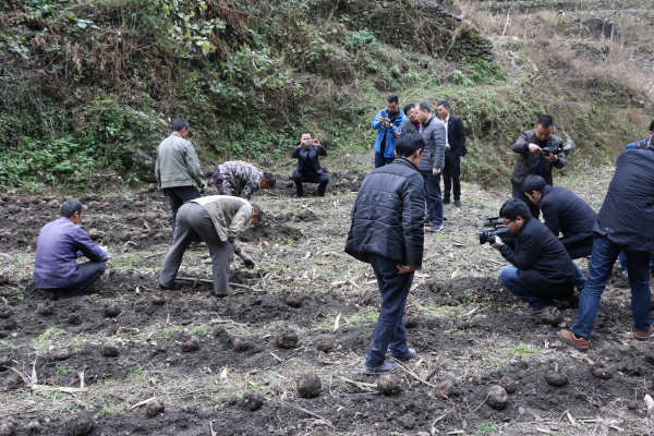 ��ʡý�塰��ƶ���ῴ��ҵ���ɷ����߽�᰸�