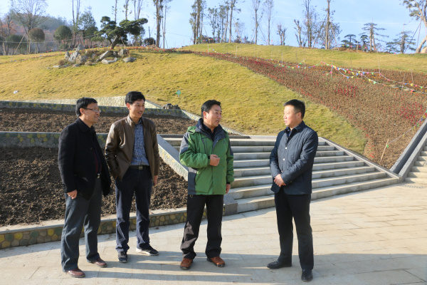 ����ҵ�ֶ�����������2017����ҵ����������