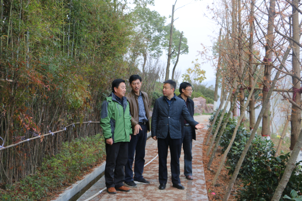 ����ҵ�ֶ�����������2017����ҵ����������