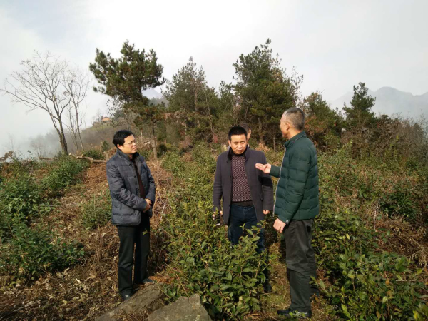 ����ҵ�ֶ�����������2017����ҵ����������