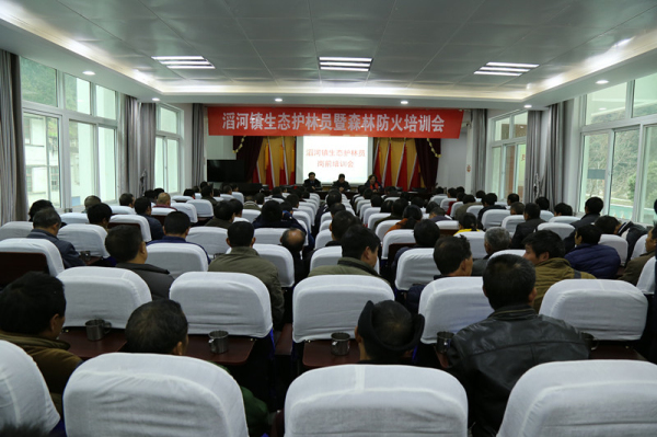 �Ϻ��������̬����Ա��ɭ�ַ�����ѵ��