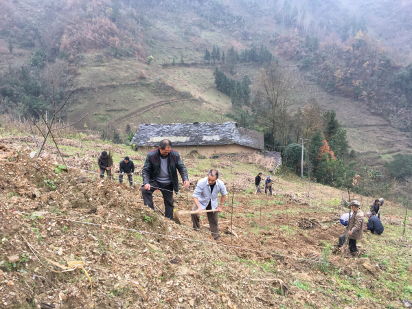 �����ġ�С�㴻���¸���