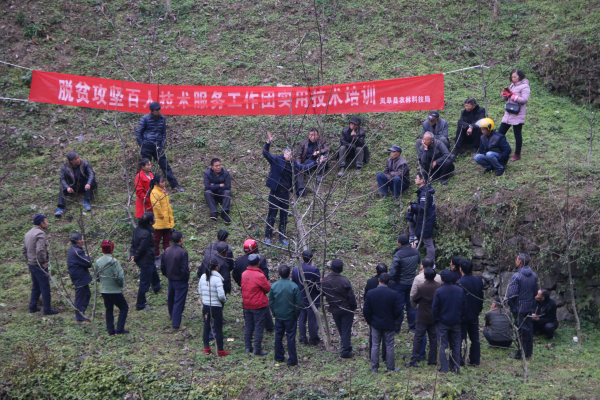 ���������Ե� ��ҵ��ƶʵ��ʵ