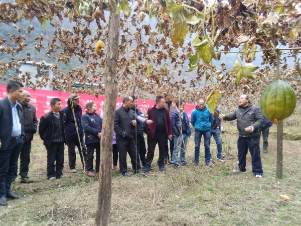 ���������Ե� ��ҵ��ƶʵ��ʵ