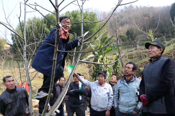 ���������Ե� ��ҵ��ƶʵ��ʵ