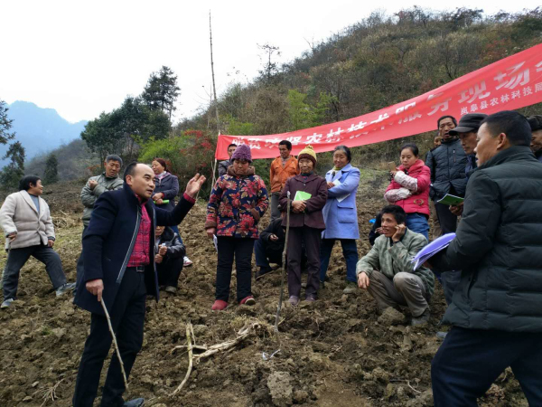 ���������Ե� ��ҵ��ƶʵ��ʵ