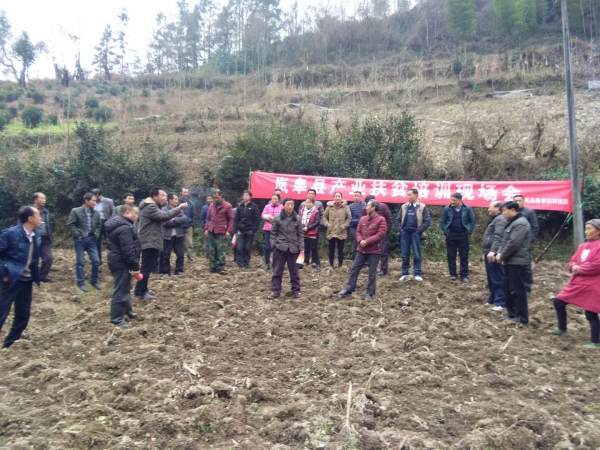 ���������Ե� ��ҵ��ƶʵ��ʵ