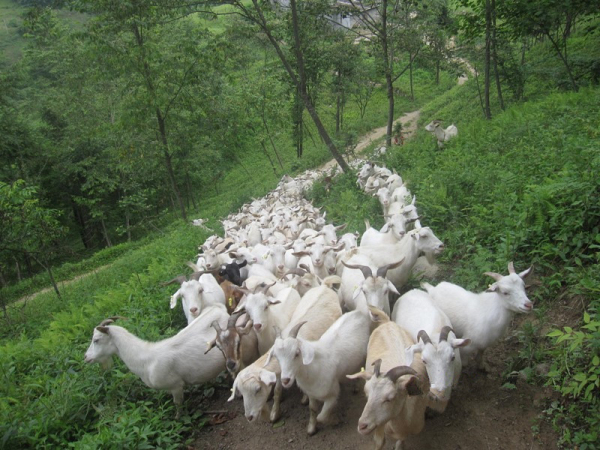 ��������4���м�ʾ����ͥũ��