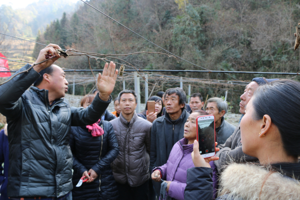 ũ��ר���߽�⨺���԰������