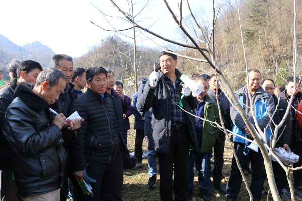 ᰸��ؾ��к��Ҳ�ҵ������Ч������ѵ��