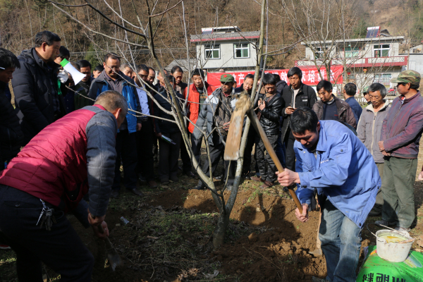 ᰸��ؾ��к��Ҳ�ҵ������Ч������ѵ��