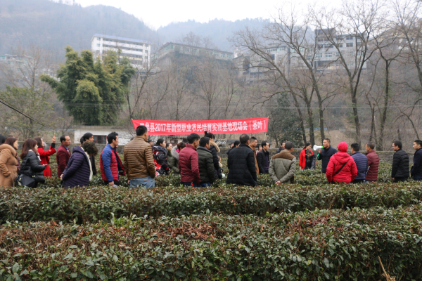 ᰸��ؾٰ�����ְҵũ��������ѵ��