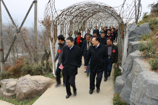 �����ᡱ������ίԱ�Ӳ��ɽ��ϡֲ��԰