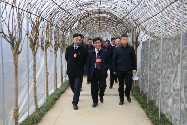 �����ᡱ������ίԱ�Ӳ��ɽ��ϡֲ��԰