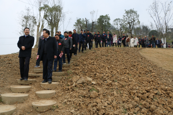 �����ᡱ������ίԱ�Ӳ��ɽ��ϡֲ��԰