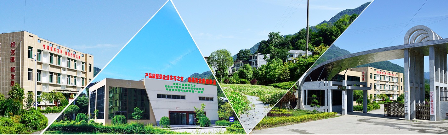 ᰸ޣ�����ħ������Ƽ��������޹�˾�ɹ�����ʡ��ũҵ��ҵ���ص���ͷ��ҵ